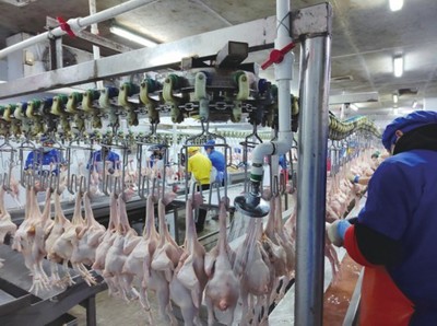 從食品安全到鄉村振興 廣西的成功之路